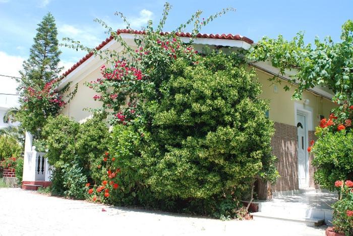 Manao Summer House Planos Exterior foto